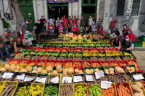 [A&ccedil;&atilde;o de distribui&ccedil;&atilde;o de comida pelo MST em Pernambuco] Movimento &eacute; um dos maiores produtores familiares do agro no Brasil (arquivo)