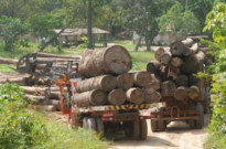 Desmatamento na região da Amazônia