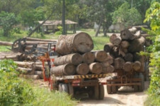 Desmatamento na região da Amazônia