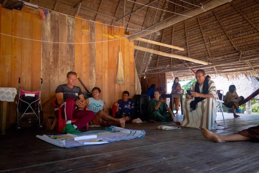 Macaque in the trees