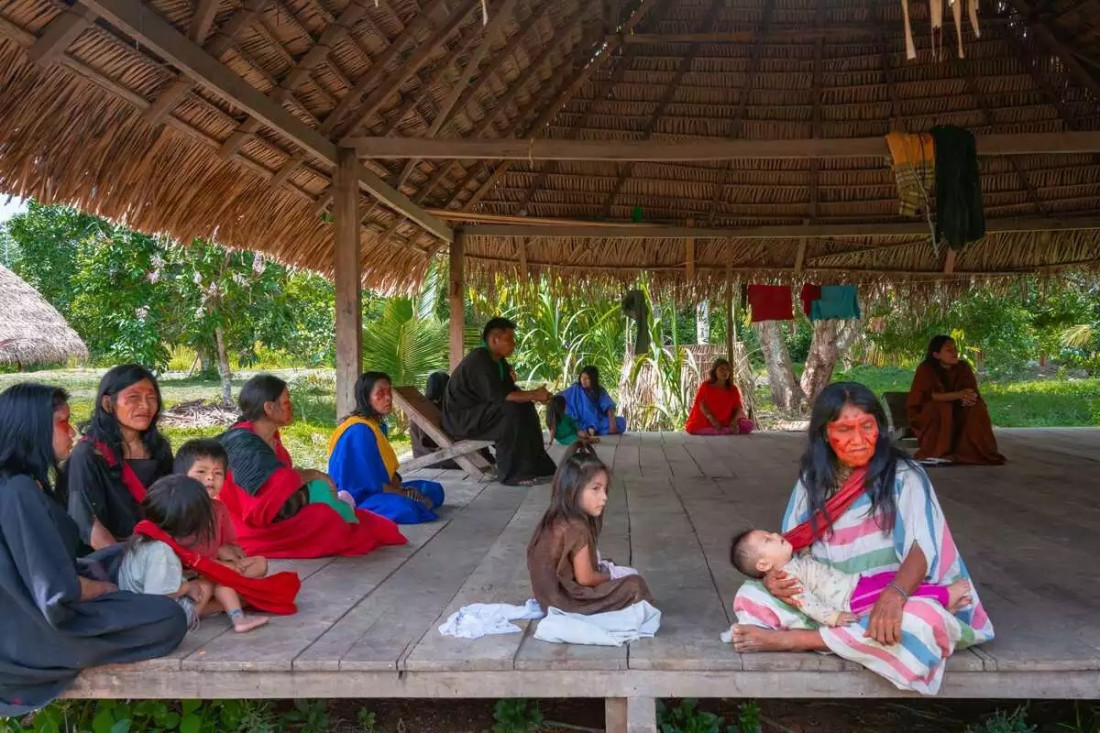 Macaque in the trees
