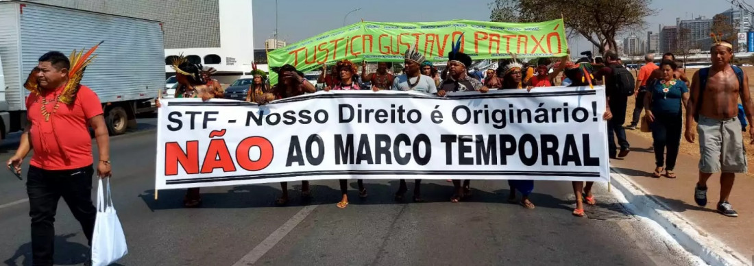 Lideranças Pataxó pediram justiça por Gustavo em manifestação em Brasília na quinta-feira (15) Macaque in the trees