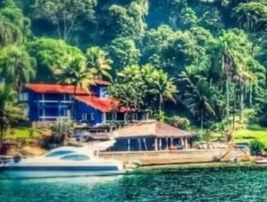 Macaque in the trees