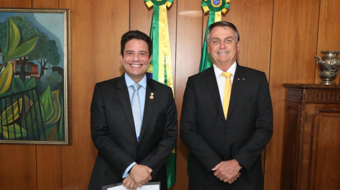 O desmatamento e a grilagem aumentaram no governo de Gladson Cameli, que é da base de apoio do presidente Bolsonaro Macaque in the trees