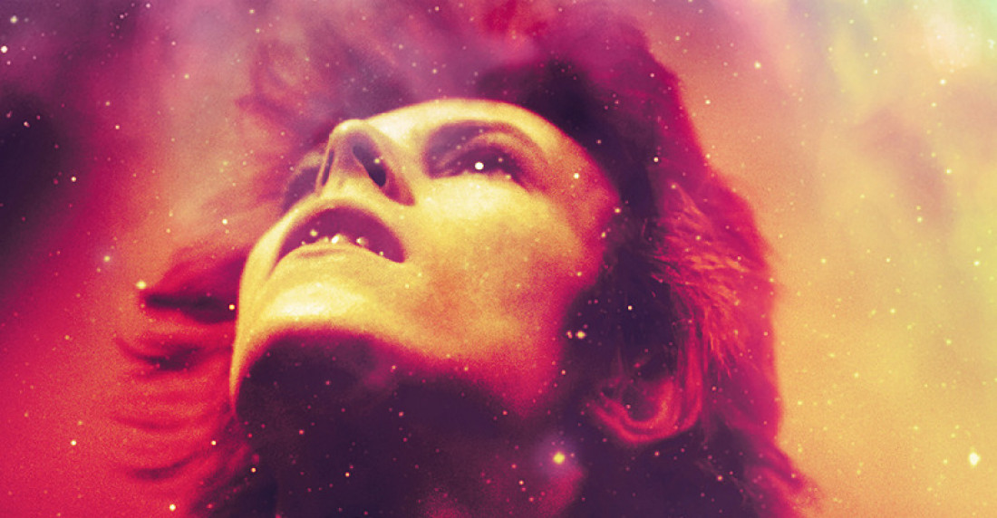 Macaque in the trees