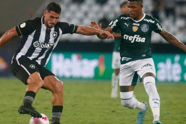 Botafogo leva virada do líder Palmeiras em casa e interrompe sequência ...