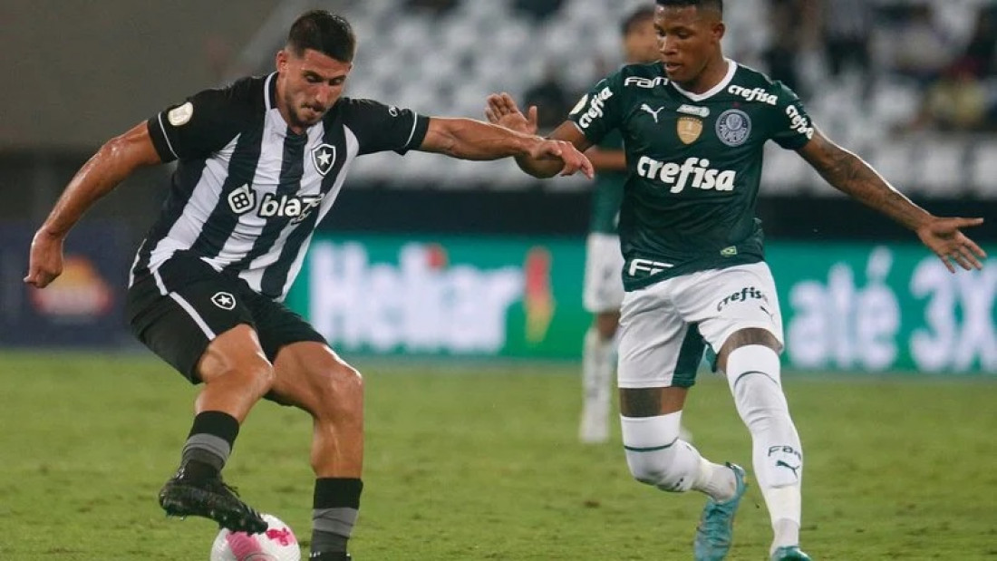 Botafogo Leva Virada Do Líder Palmeiras Em Casa E Interrompe Sequência ...