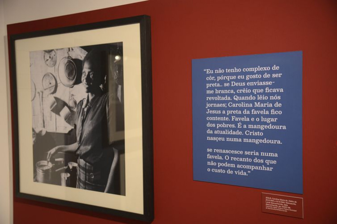 Macaque in the trees