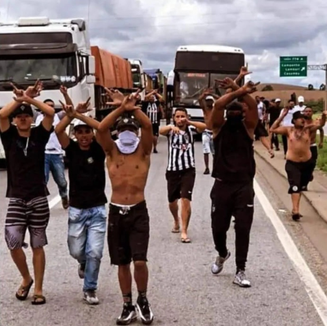 Macaque in the trees