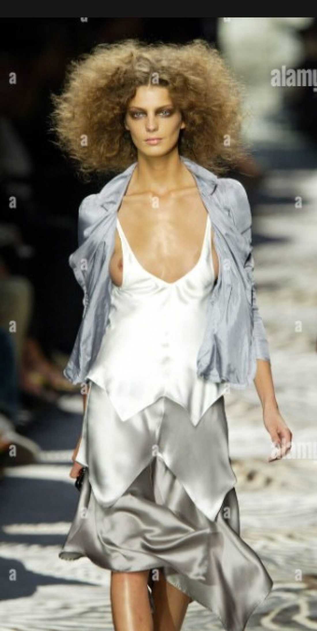 Macaque in the trees