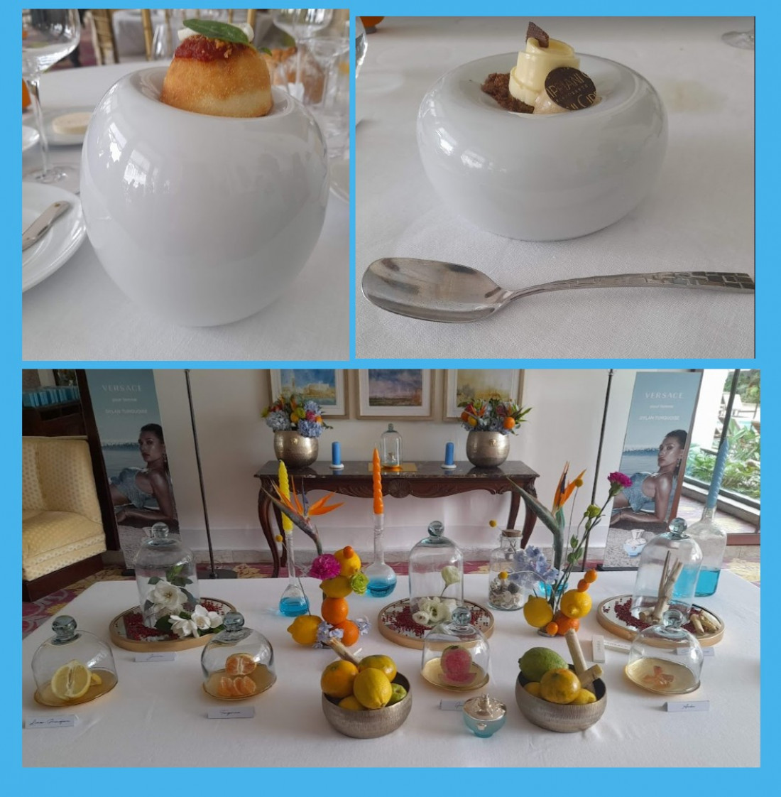 Macaque in the trees