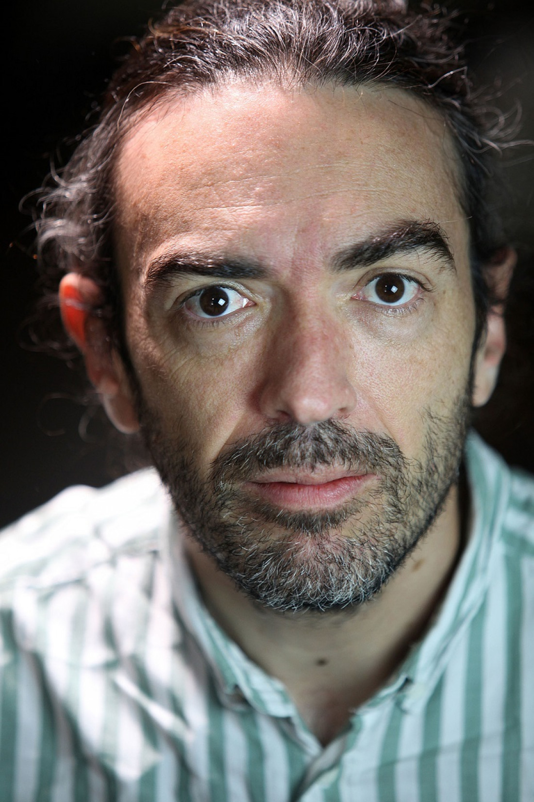 Alfredo Manevy, diretor de 'Lupicínio Rodrigues: confissões de um sofredor' Macaque in the trees