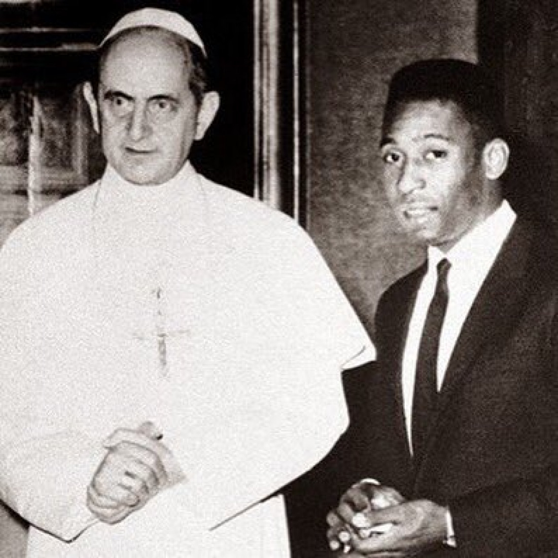 Macaque in the trees