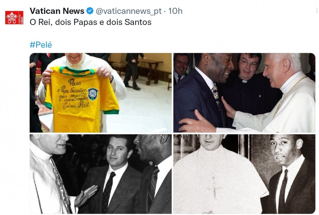 Macaque in the trees