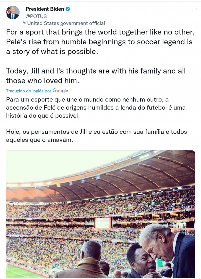 Macaque in the trees