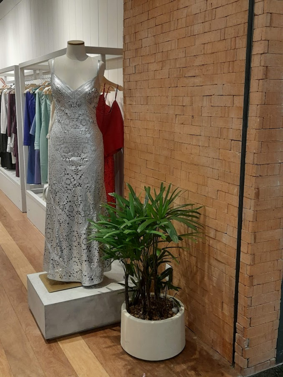 Macaque in the trees