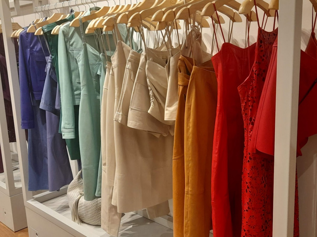 Macaque in the trees