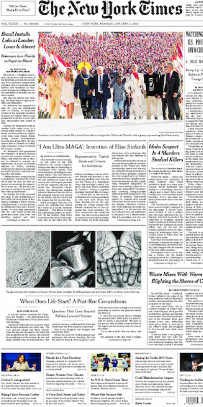 Macaque in the trees