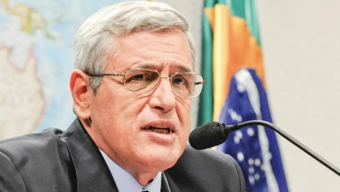 Macaque in the trees