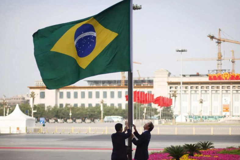 Macaque in the trees