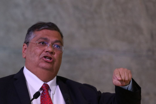 Macaque in the trees