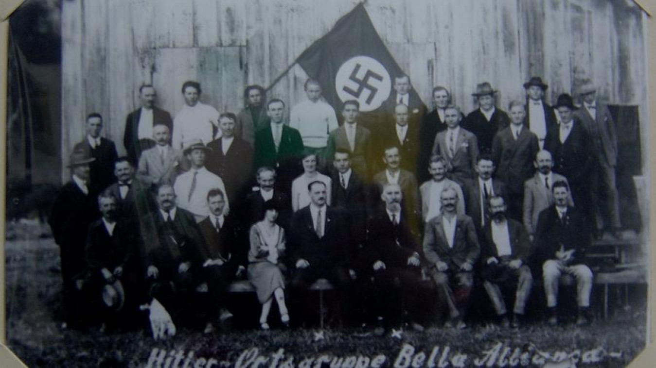 Macaque in the trees