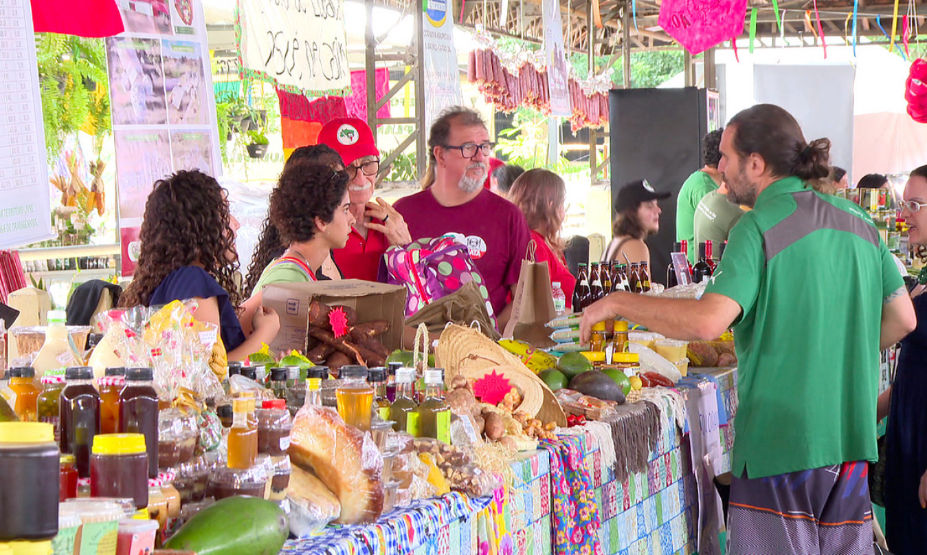 Feira do MST Macaque in the trees