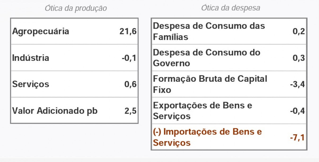Macaque in the trees