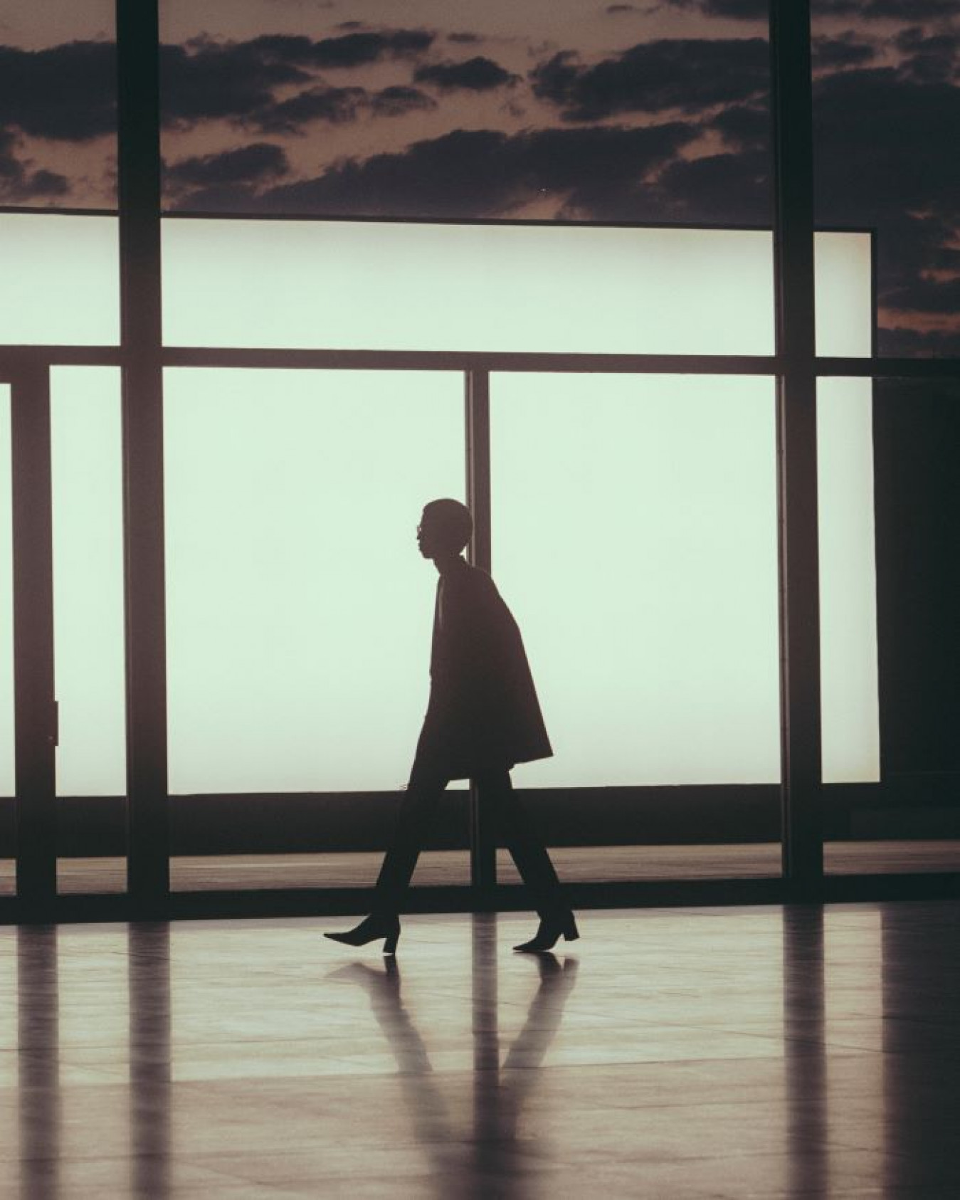 Macaque in the trees