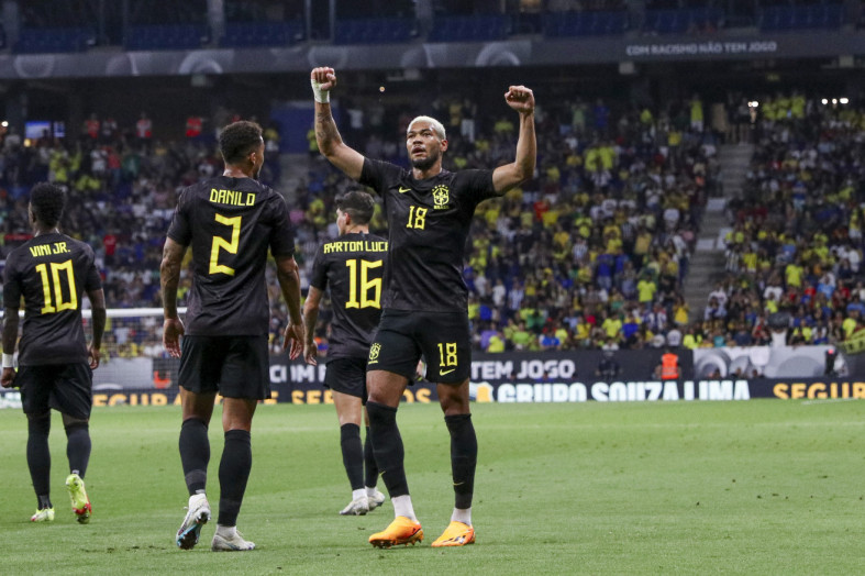 Macaque in the trees