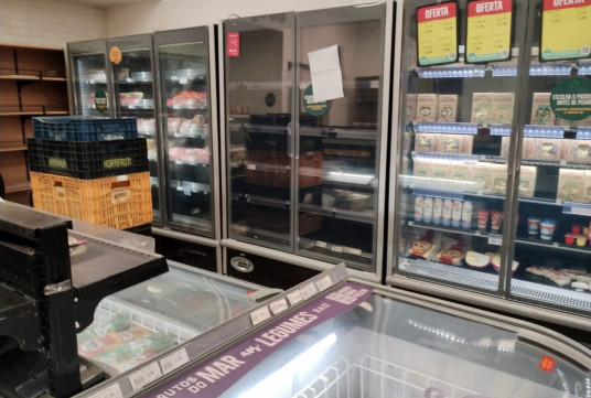 Macaque in the trees