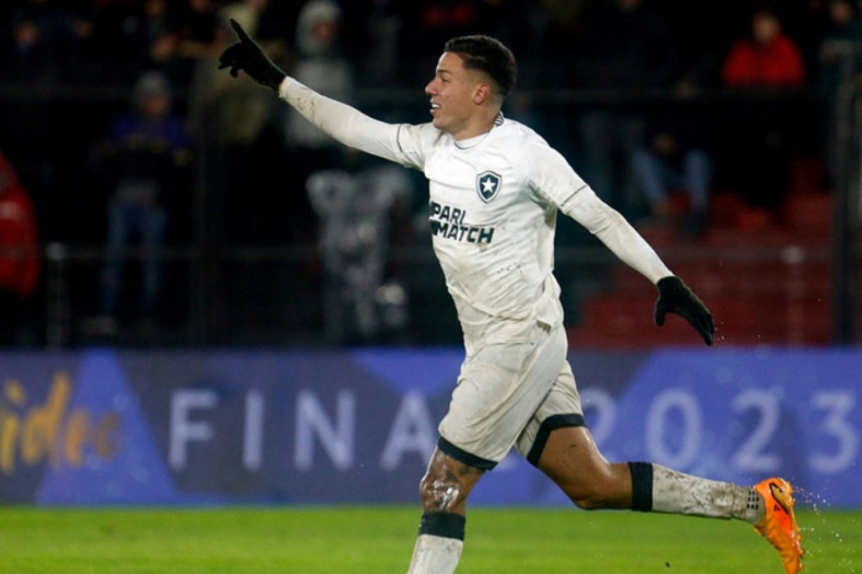 Macaque in the trees