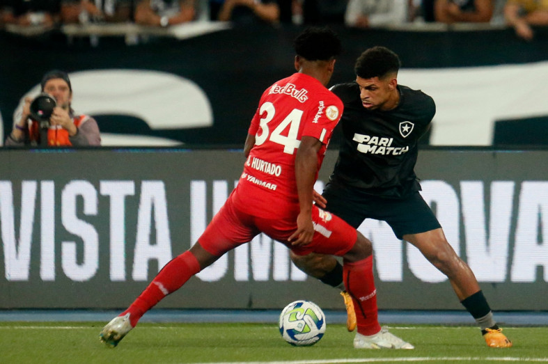 Macaque in the trees