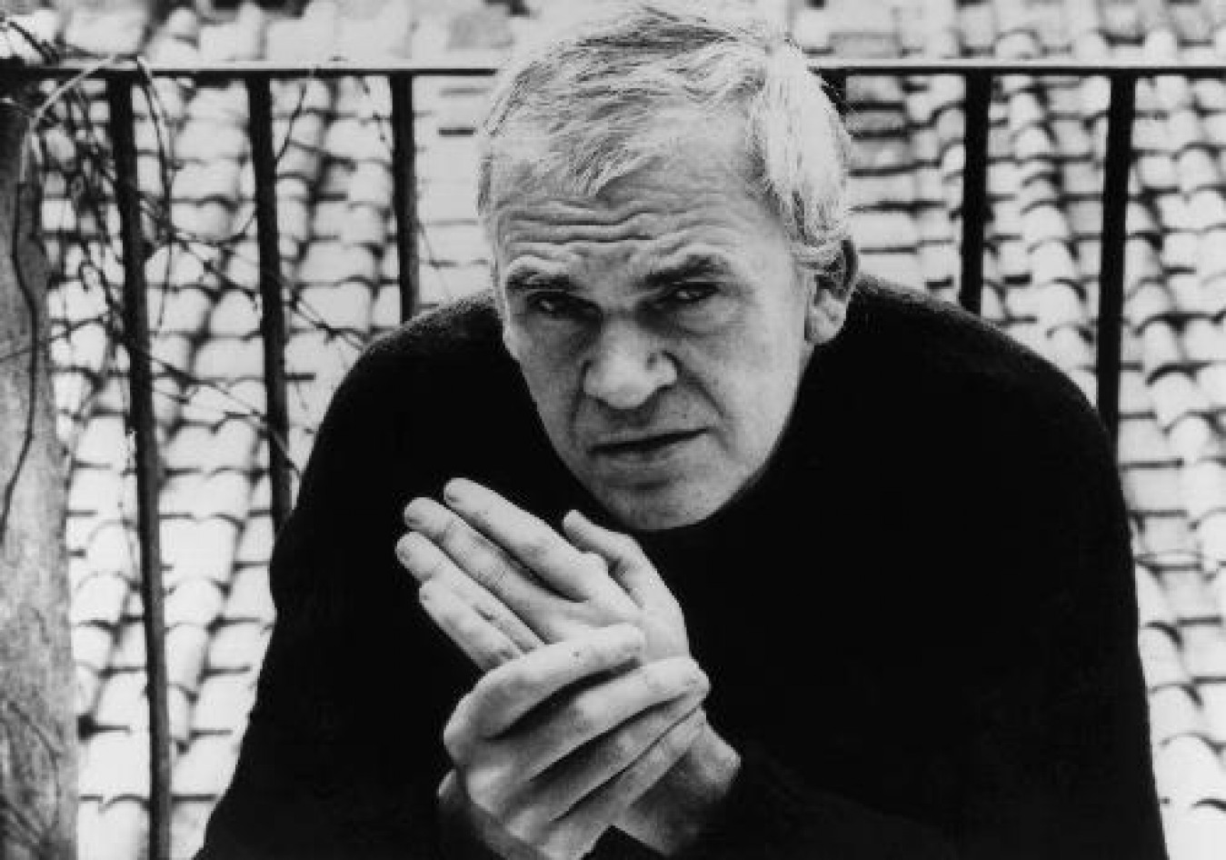 Milan Kundera Macaque in the trees
