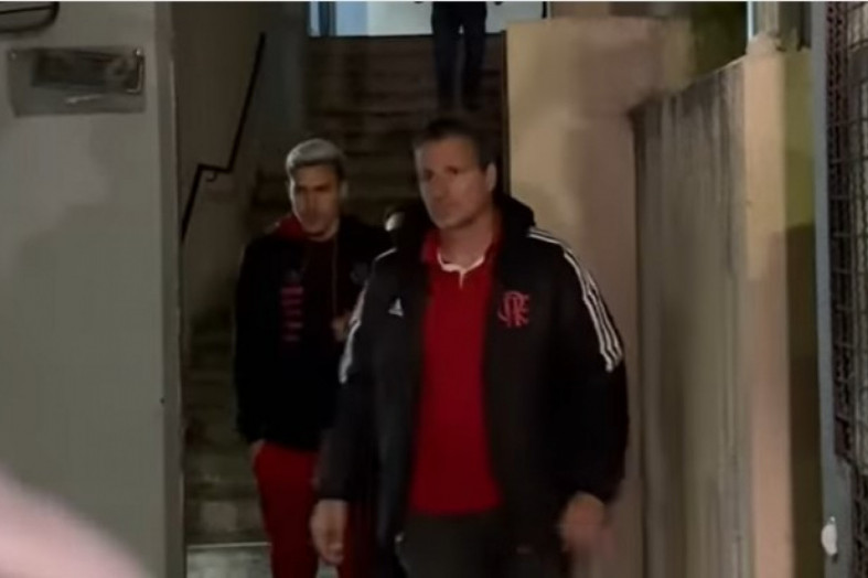 Macaque in the trees