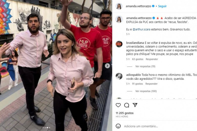 Macaque in the trees