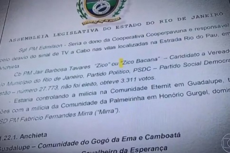 Relatório cita ex-parlamentar como possível chefe de milícia Macaque in the trees