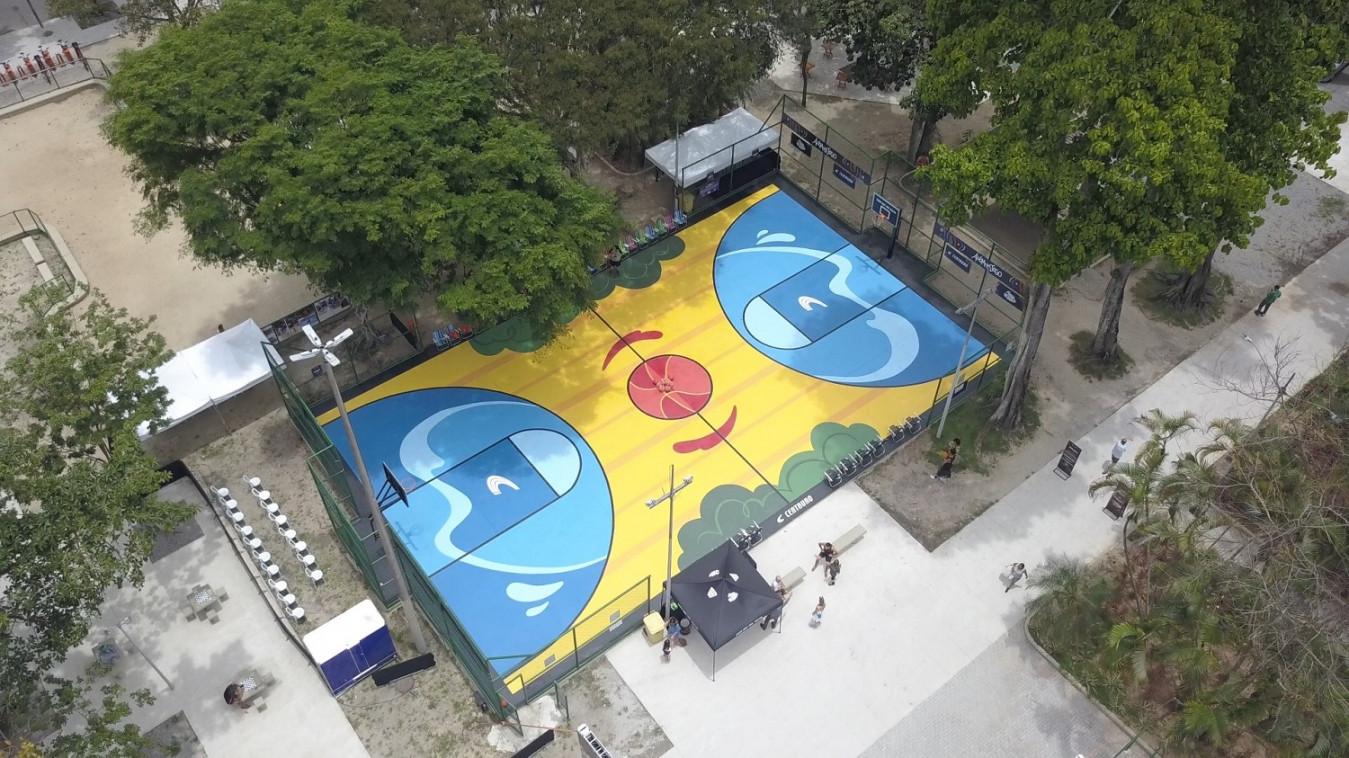 Macaque in the trees