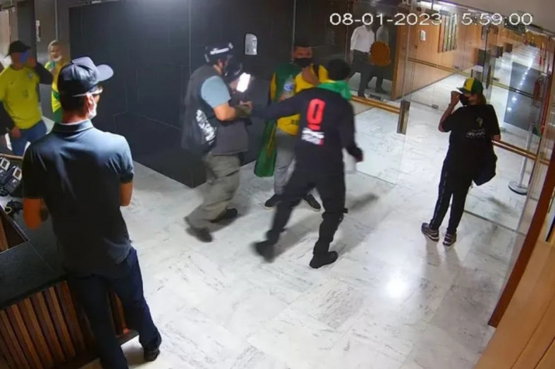 Macaque in the trees