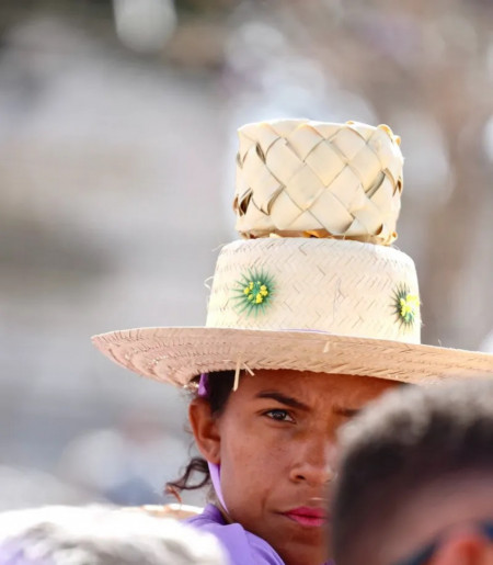 Macaque in the trees