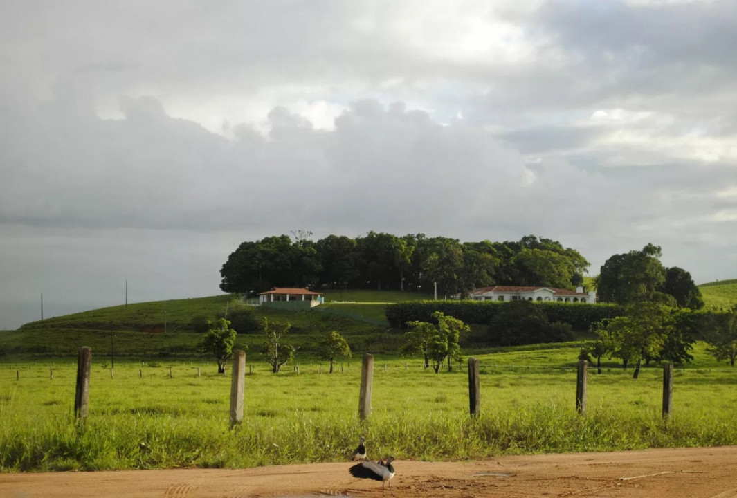 1_expansao_agropecuaria-790908.jpg