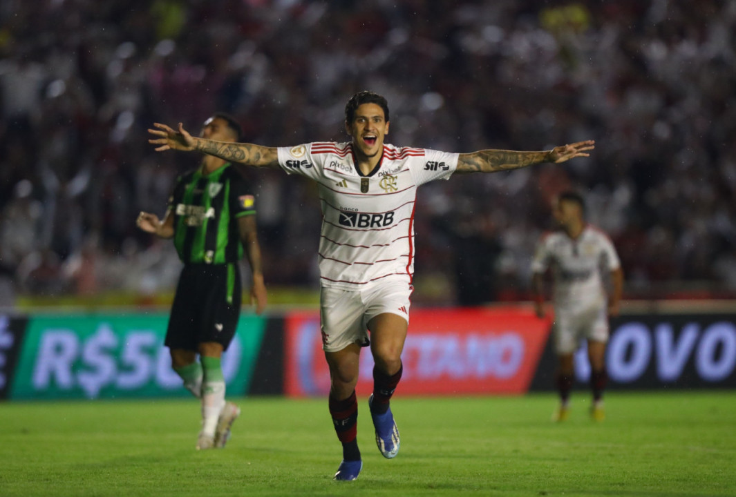 Botafogo vence Flamengo e assume liderança do Brasileirão