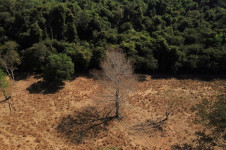 De acordo com o Sistema de Alerta de Desmatamento do Cerrado (SAD Cerrado), do Instituto de Pesquisa Ambiental da Amaz&ocirc;nia (Ipam), a propor&ccedil;&atilde;o de desmatamento alcan&ccedil;ada em janeiro deste ano foi a menor dos &uacute;ltimos 11 meses