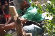 Partido verde está derrubando árvores em Niterói sem necessidade
