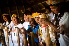 Indígenas Guarani-Kaiowá, da Terra Indígena (TI) Panambi – Lagoa Rica