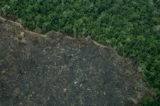 Desmatamento em terra Ind&iacute;gena Karipuna (arquivo)