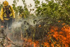 Combate a inc&ecirc;ndio florestal
