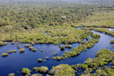 Amaz&ocirc;nia - redu&ccedil;&atilde;o de 16,8%