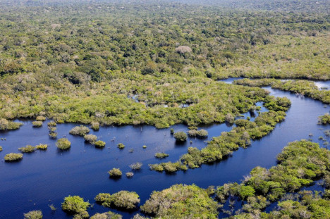 Amaz&ocirc;nia - redu&ccedil;&atilde;o de 16,8%