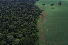 Dados confirmam a destrui&ccedil;&atilde;o de 18 campos de futebol por minuto